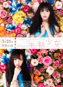 深度解析修真风云录的剧情与世界观